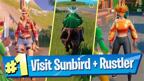 Interact With Sunbird Or Moon Hawk And Rustler In A Single Match