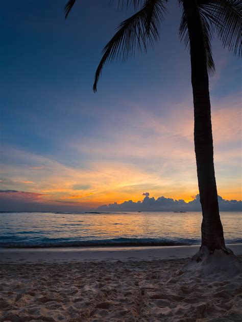Tropical Beach Sunset Royalty Free Photo