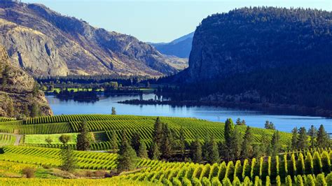Explore British Columbia S Okanagan Region With These Wineries