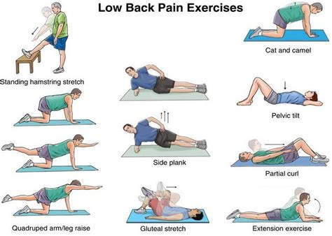 Exercises For Hip Pain Jain Pain Clinic