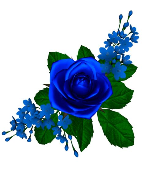Forgetmenot Blue Roses