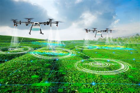 Precision Agriculture The Hype Around Drone Technology Bearing Tips
