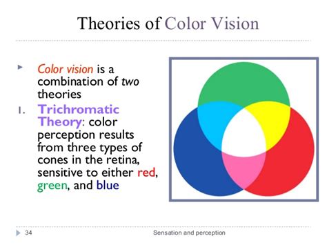 Marvellous interactive infographic that unveils the different ways men and women perceive color. Sensation and perception