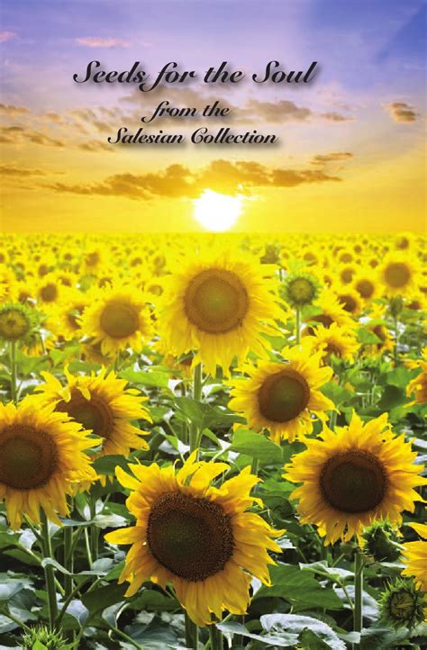 Seeds For The Soul Inspirational Volume Sampler By Salesian Missions