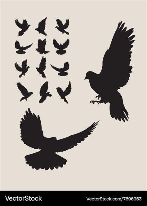 Dove Flying Silhouettes Royalty Free Vector Image