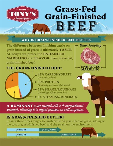 The Benefits Of Grass Fed Grain Finished Beef Tony S Meats Market
