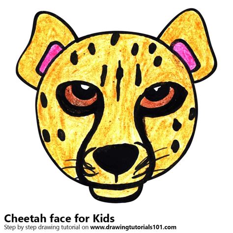 Easy cheetah face drawing gigantesdescalzos com. Learn How to Draw a Cheetah Face for Kids (Animal Faces for Kids) Step by Step : Drawing Tutorials