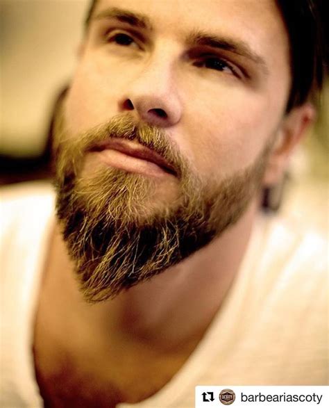 best 30 popular beards shape ideas for men for 2019 best beard styles beard shapes beard styles