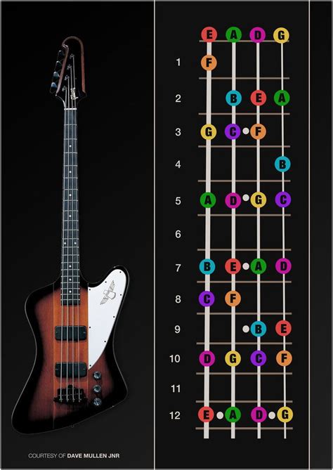 If you are a beginner guitar player you can learn easily how to play the guitar with these very easy songs. Bass Guitar Notes Poster by davemullenjnr | Music ...