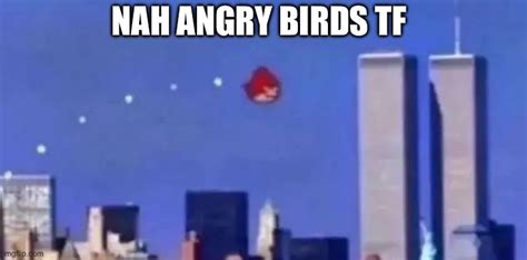 Angry Bird 911 Imgflip