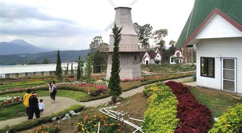 Wisata ini juga sangat ramai dikunjungi oleh berbagai wisatwan. Tiket Masuk Taman Bunga Pandeglang / Taman Bunga ...