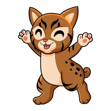 Cute Dibujos Animados De Gato Pixie Bob Vector Premium