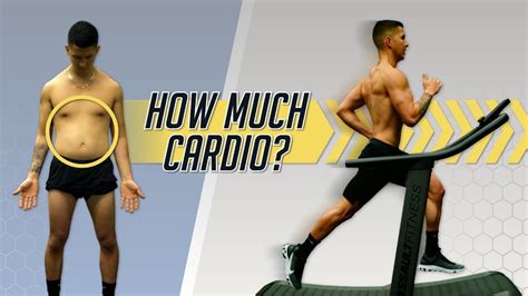how much cardio should you do to lose belly fat 4 step plan weightloss alarm