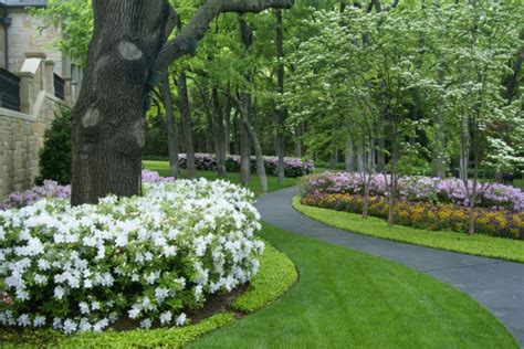 Deciduous Trees And Shrubs In Landscaping