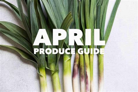 Whats In Season April Produce Guide Arch2u Produce Guide Whats