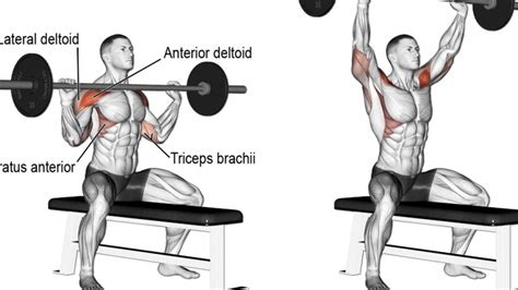 How To Build Bigger Delts The Top 7 Shoulder Workouts For Men