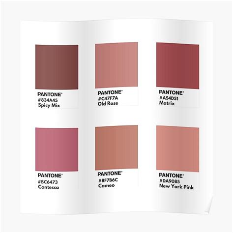Pink Nude Palette Pantone Color Swatch Poster By Softlycarol Redbubble