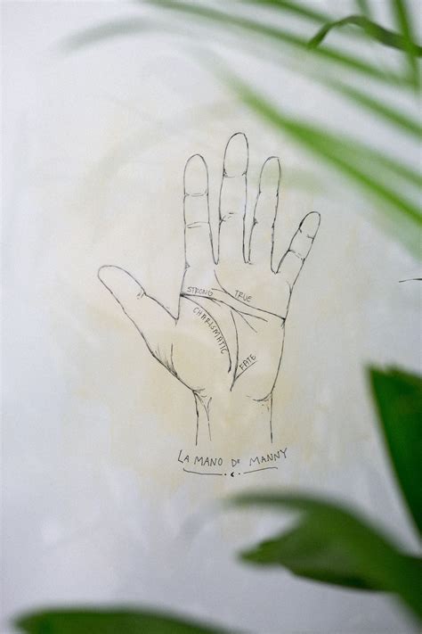 Search 1 Result Found For Custom Palm Reading Art Reading Art