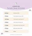 4 Month Sleep Schedule: Sample Schedule for 4 Month Old Babies– Nested Bean