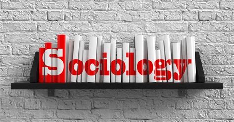 What Is Sociology And Why Study It