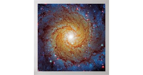 Messier 74 Spiral Galaxy Outer Space Photo Poster Zazzle