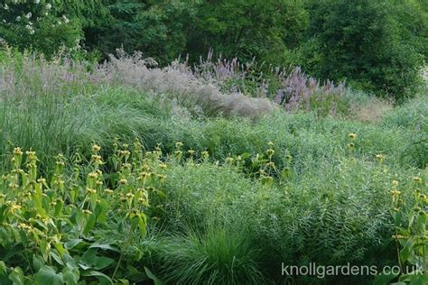 Gallery Knoll Gardens Ornamental Grasses And Flowering Perennials