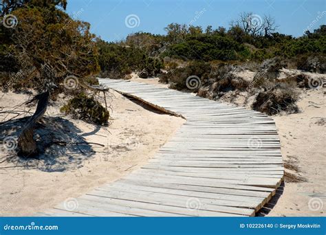 Wooden Walkway On The Sand Leading To The Beach Stock Photo Image Of