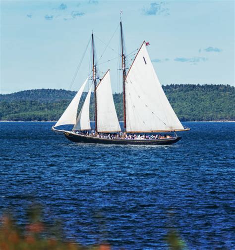Bluenose Schooner Stock Photos Pictures And Royalty Free Images Istock