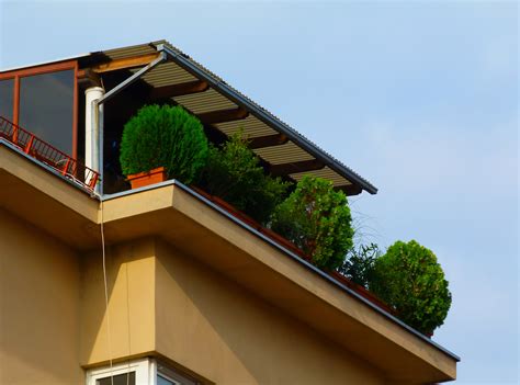 What Is A Parapet Roof Your Ultimate Guide