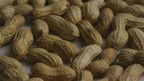 A Bunch Of Peanuts Close Up Free Stock Video