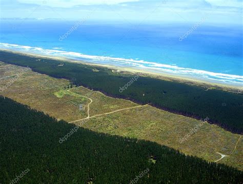 Aerial Of Aupouri Forest Pine Plantation — Stock Photo © Cloudia 2271279