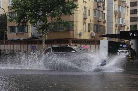 Shanghai Soaked In Plum Rains Shine News