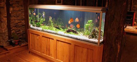 Aquarium Delivery Set Up And Moving Services