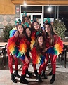 Difraz loro mujer rojo plumas goma eba carnaval disfraz amigas creativo ...