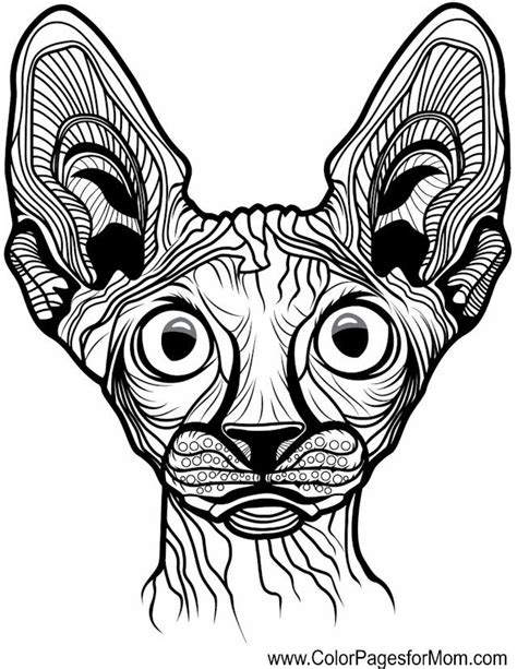 Animals 94 Advanced Coloring Page Cat Tattoo Animal Tattoo Animal