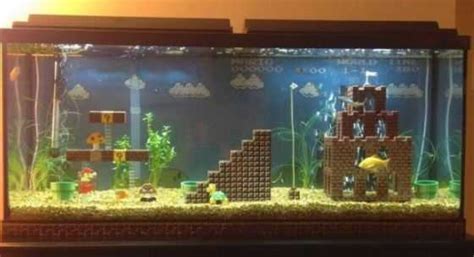 Wow 10 Cool Aquarium Decoration Ideas And How To Copy Them 2022