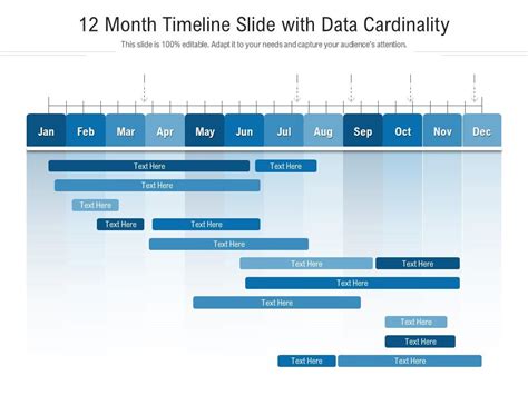 12 Month Timeline Slide With Data Cardinality Infographic Template