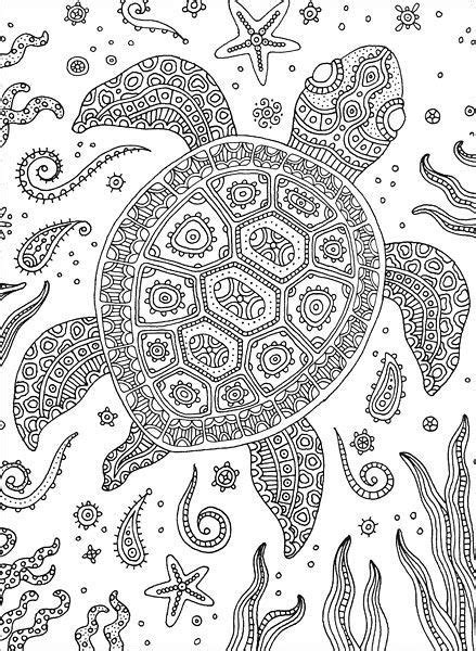 Page best of free printable pagesinja turtles. Pin by Amanda G. on Coloring Pages | Turtle coloring pages ...