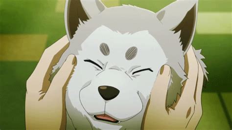 Top 20 Cute Anime Dogs