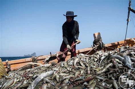 Labor Exploitation Illegal Fishing Continue To Plague Asian Seas The