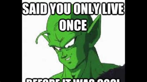 Dragon ball z abridged has spawned a huge amount of these, even by the standards of an abridged series. Meme's I made. (1/?) - YouTube