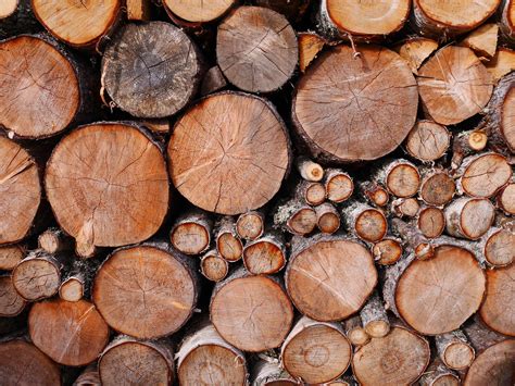 Best way to stack firewood. 10 Top Tips for Control of Firewood Pests