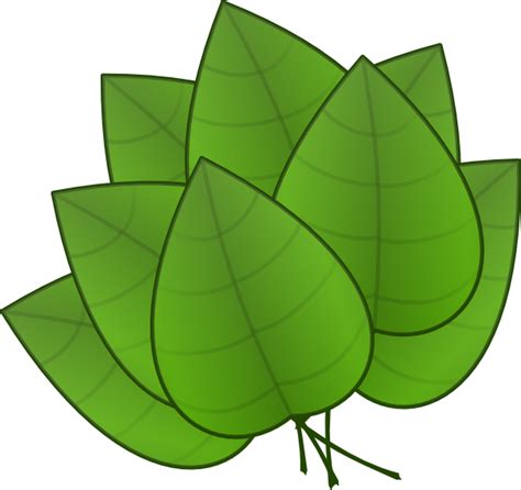 Animated Tree Leaves Clipart Best