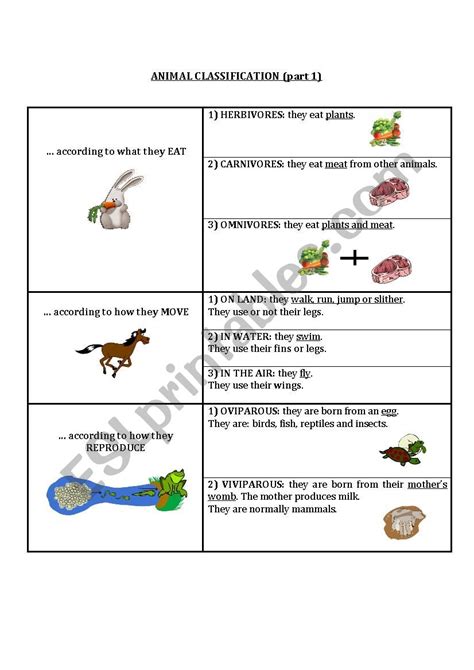 Animal Classification Worksheet Animal Classification Worksheet Images