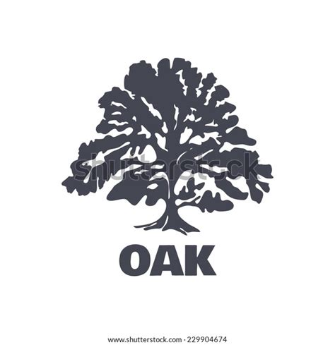 Oak Tree 로고 실루엣벡터 그림 스톡 벡터로열티 프리 229904674 Shutterstock