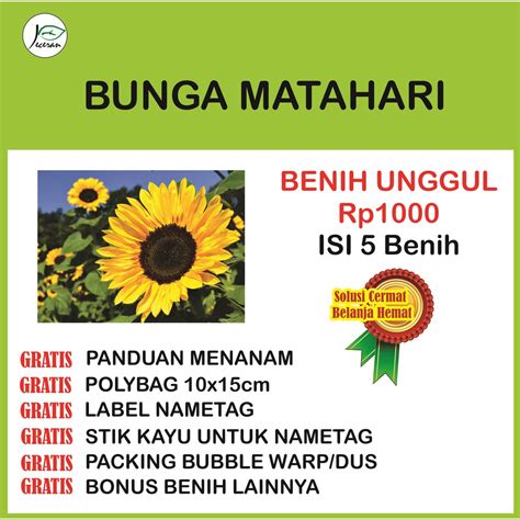 Jangan lupa untuk membuat lubang tanam pada bedengan atau lahan akhir penanaman sedalam 5 cm menggunakan tugal. Benih Bibit Bunga Matahari Eceran | Shopee Indonesia