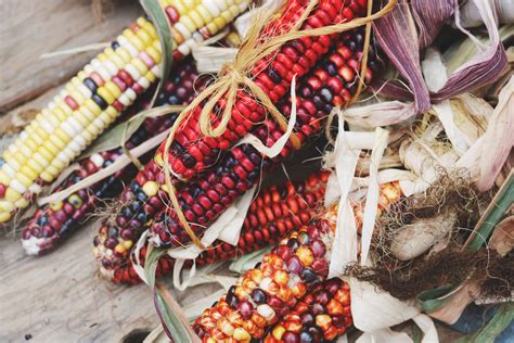 Native American Contributions To World Foods Feasts Of History