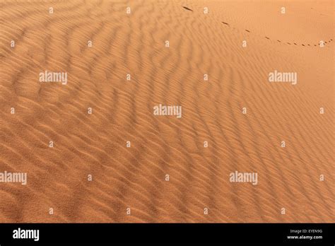 Desert Sand Texture With Footprints Stock Photo Alamy