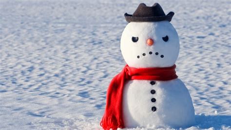 Frosty The Snowman Describes Demeanour Not Appearance As Originally