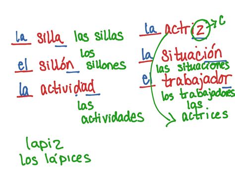 Definite Articles Language Spanish Spanish Grammar Showme